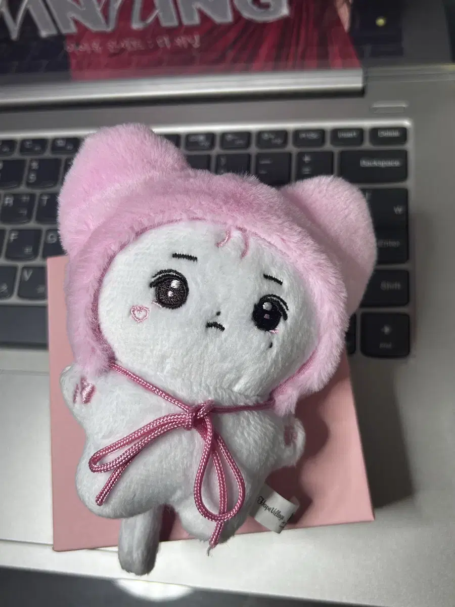 택포)핑냥이 아이유 인형